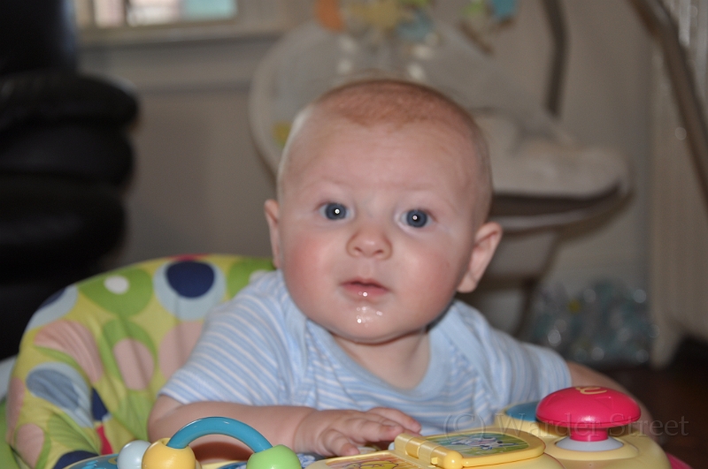 William's Sixteenth Week 04.jpg